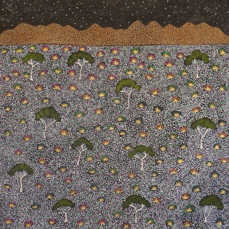 Teleisha Pula Ross - Atyenh Amer Areyel Amper (My View of Country) - Painting - Teleisha Pula Ross