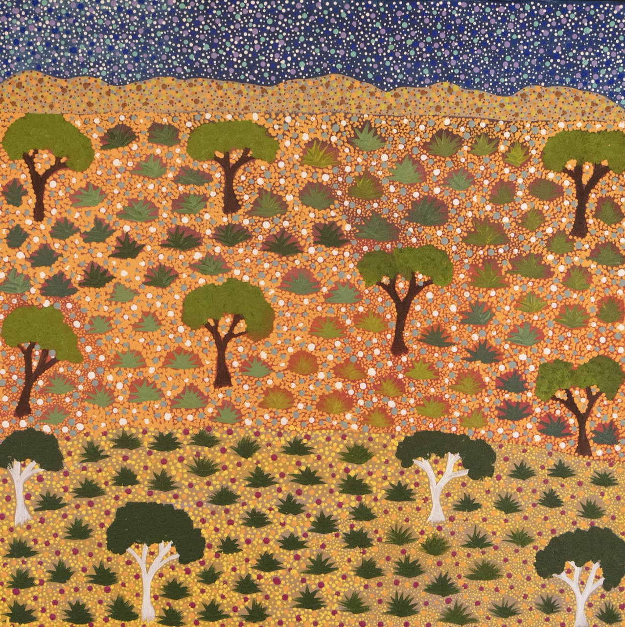 Diane Kemarre Ross - Atyenh Amper (My Country) - Painting - Diane Kemarre Ross
