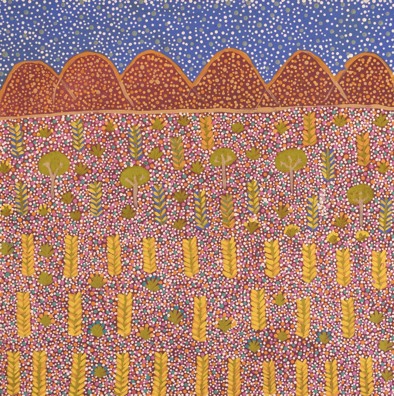 Janella Kemarre Ross - Atyenh Amper - (My Country) - Painting - Janella Kemarre Ross