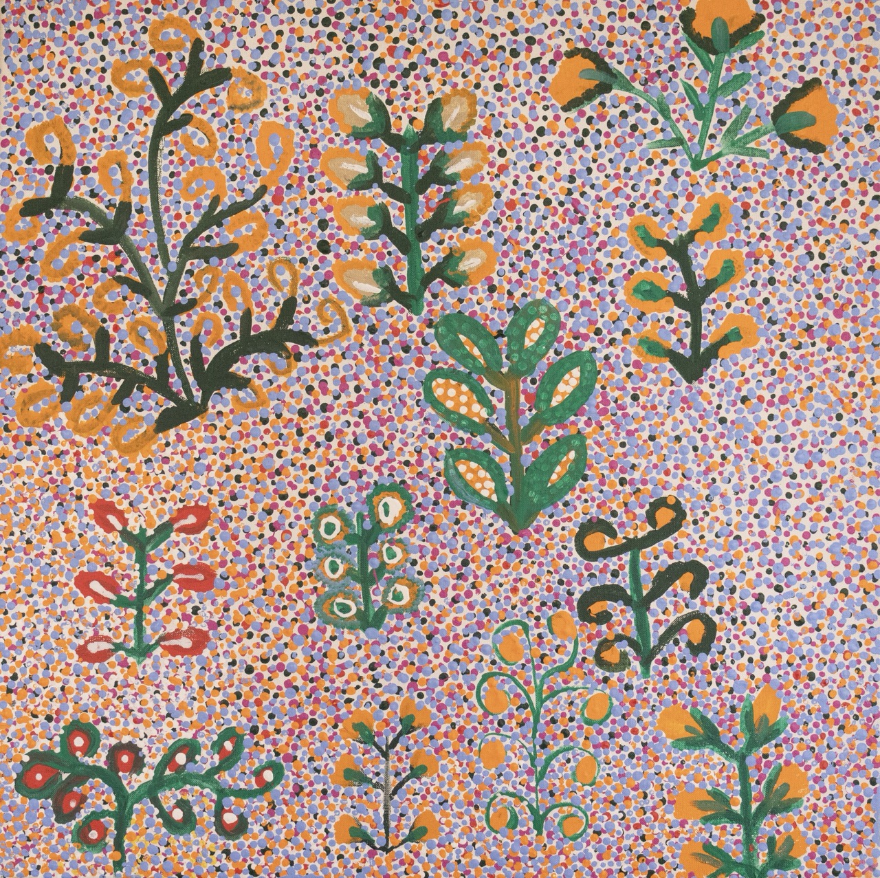 Sandra Pula Teece - Atyenh Artna Arnernp (My Bush Medicine) - Painting - Sandra Pula Teece