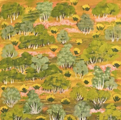 Elizabeth Ngwarraye Bonney - Flowers and Fairies - Painting - Elizabeth Ngwarraye  Bonney