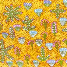 Bush Medicine Plants by Rosemary Ngwarraye Turner