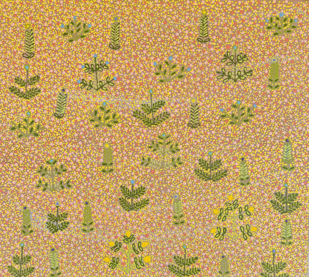 Bush Flowers - Dakota Petrick - Painting - Dakota Ngwarraye Petrick