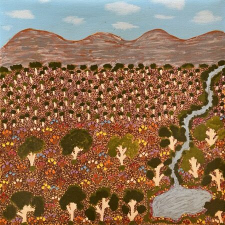 View Of Country - Painting - Susan  Ngwarrarye Philomac