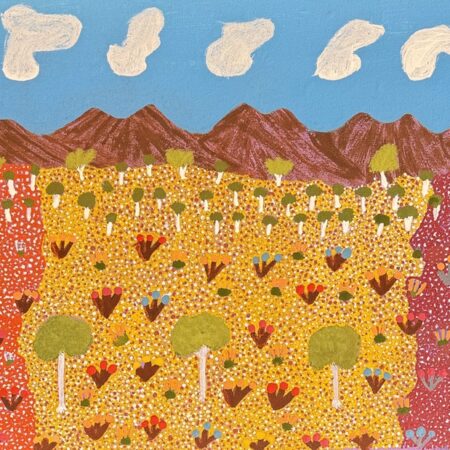 View Of Country - Painting - Susan  Ngwarrarye Philomac