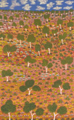 Lulu Pitjara Teece - After the Rain - Painting - Lulu Pitjara Teece