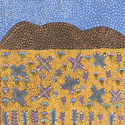 View Of Country - Painting - Rosemary Ngwarraye Turner